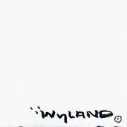 Manatee by Wyland