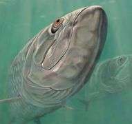 Tranquil soothing art by Jason Mathias Jason Mathias Silver Patrol