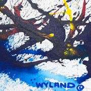 Untitled Abstract by Wyland