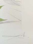Exclusive Salvador Dali Pencil Signed Limited Edition Etching and Color Stencil from 'Twelve Tribes 