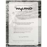 100 Whaling Walls by Wyland