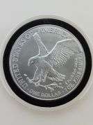 2025 American Silver Eagle In Capsule