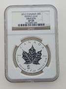 2012 Canadian $5 Maple Leaf - Dragon Privy, NGC SP69