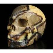 5-Inch Hand Carved Dragon Septarian Skull Gemstone