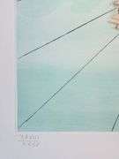 Exclusive Salvador Dali Pencil Signed Limited Edition Etching and Color Stencil from 'Twelve Tribes 