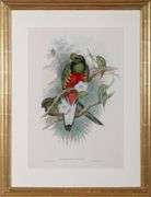 Exclusive John Gould Hand-Colored Lithograph Trogon Bird, 1858-78