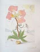 Exclusive Salvador Dali Pencil Signed Limited Edition Etching and Color Stencil from 'Twelve Tribes 