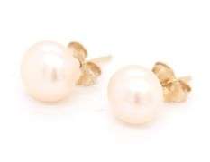 14kt Yellow gold freshwater pearl stud earrings