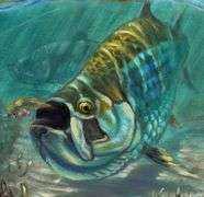 Artistic marvel by Jason Mathias Jason Mathias Tarpon Fever