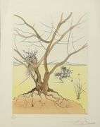 Exclusive Salvador Dali Signed Etching Framed, 1972