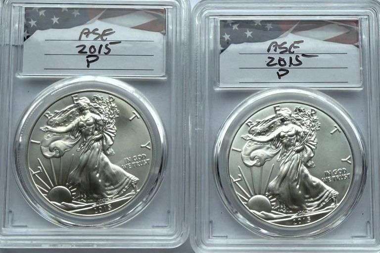 Two 2015 Uncirculated Silver Eagles