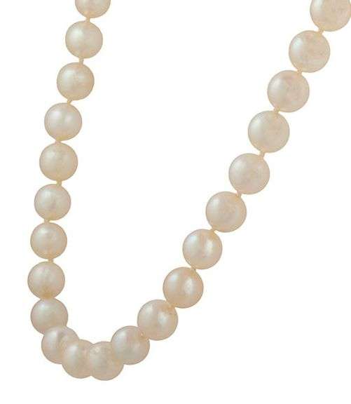 8.0MM Cultured Akoya Pearl Strand Necklace in 14K