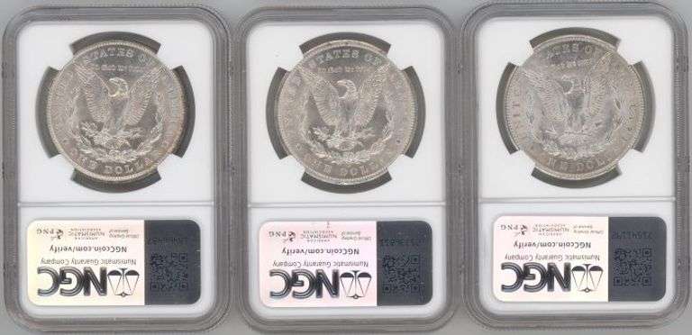 Super lot of 3 Diff Near Gem BU Morgan Silver Dollar. NGC MS64