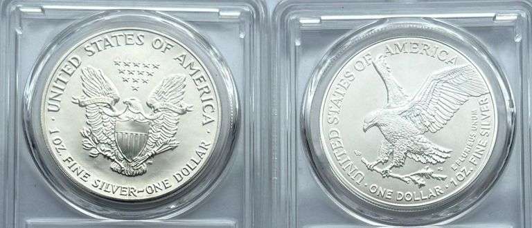 1992 & 2024 Uncirculated Silver Eagles.