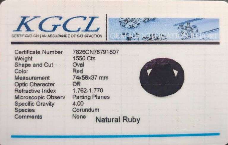 Huge Museum Size 1550 Ct Certified Red Ruby