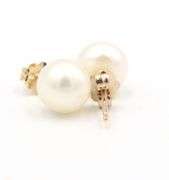 10kt Yellow gold 6.5-7mm pearl stud earrings