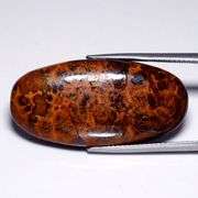 Holy COW!!! 24.51ct Queensland Boulder Opal!