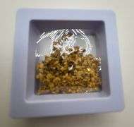 11.8 Gram Natural Gold Nuggets - Premium Quality