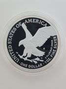 2023 S Proof American Silver Eagle, OGP