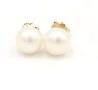 10kt Yellow gold 6.5-7mm Pearl stud earrings