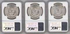 Super lot of 3 Diff Near Gem BU Morgan Silver Dollar. NGC MS64