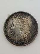 1881 S Morgan Silver Dollar, Toned "Flashy" UNC