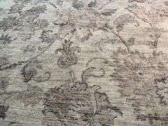 Exquisite Transitional Rug 9x12