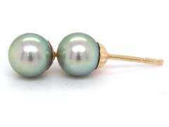 14kt Yellow gold 6.5mm pearl stud earrings