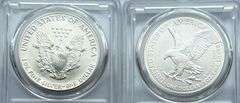 1992 & 2024 Uncirculated Silver Eagles.