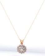 14kt Yellow gold 0.75ctw diamond cluster pendant on chain