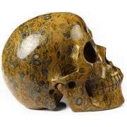 5-Inch Hand-Carved Jasper Gemstone Skull