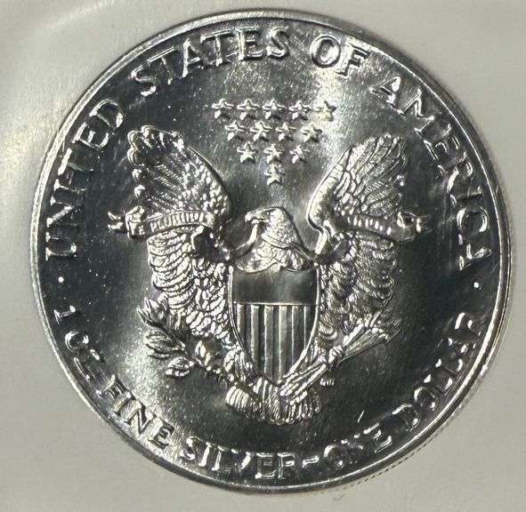 Frosty 1987 NGC MS 69 Silver Eagle.