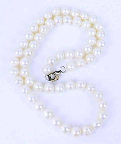High Luster White Pearls Necklace