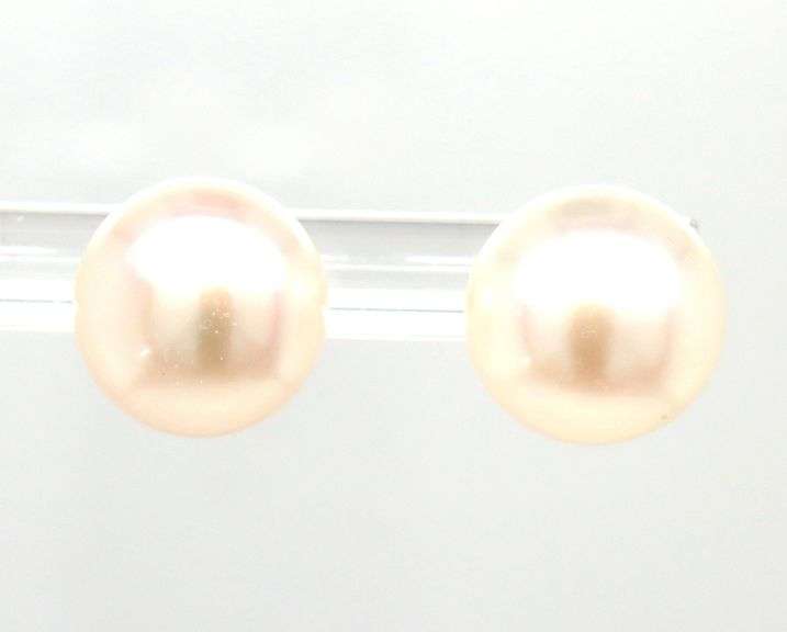9.5-10mm Button pearl stud earrings in yellow gold
