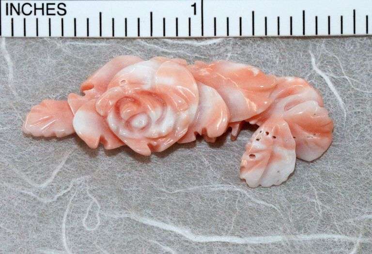 Natural Angelskin Coral Carved Roses