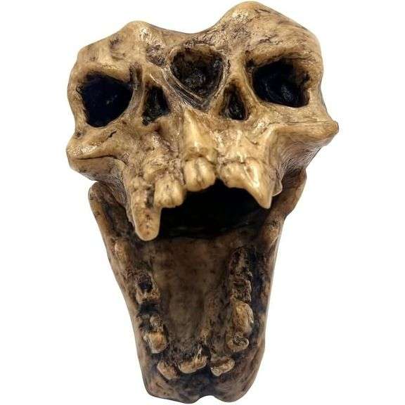 Aztec Death Whistle Skull Collectible