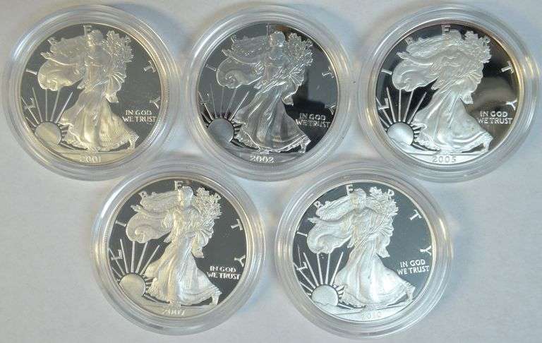 5 Diff Gem Cameo Proof $1 Silver Eagles 2001-2010, Velvet Boxes