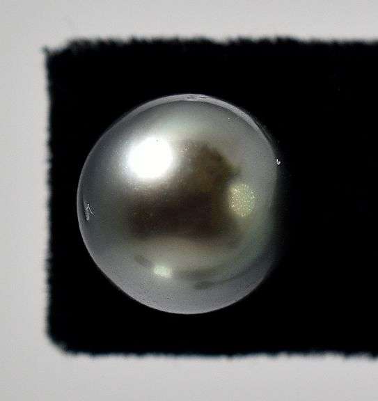 Amazing 14K White Gold Pearl Stud Earrings