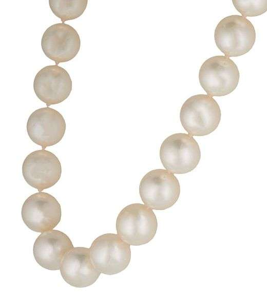 11.50MM South Sea Pearl Strand Necklace in 14K