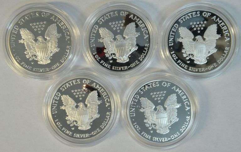5 Diff Gem Cameo Proof $1 Silver Eagles 2001-2010, Velvet Boxes
