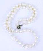 High Luster White Pearls Necklace