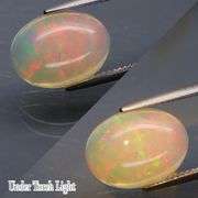 Vibrant 4.92ct rainbow flashing Opal