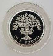 1987 United Kingdom Silver Proof One Pound Coin
