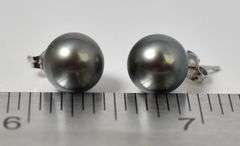 Amazing 14K White Gold Pearl Stud Earrings
