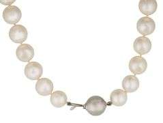 11.50MM South Sea Pearl Strand Necklace in 14K