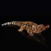 Acrylic Crystal Crocodile