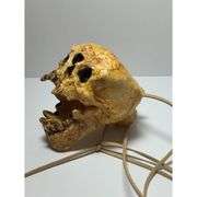 Aztec Death Whistle Skull Collectible