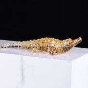 Acrylic Crystal Crocodile