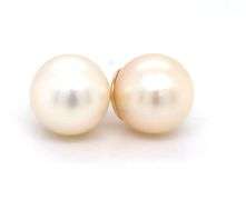 14kt Yellow gold 8mm Pearl stud earrings