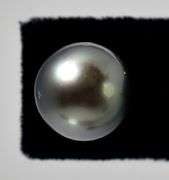 Amazing 14K White Gold Pearl Stud Earrings